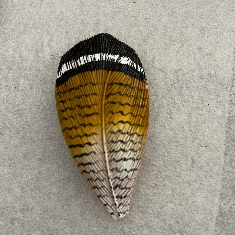 Feather Pin Brooch Carved Painted Wood Duck Artist Hewelling 2.5”